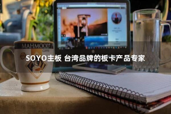 SOYO主板：台湾品牌的板卡产品专家